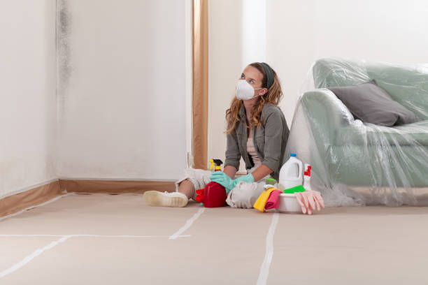 Reliable Black Mold Removal contractor in New Prague, MN by WQB Mold Removal